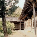 완귀정 이미지