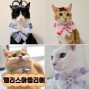 냥냥펀치 이미지