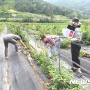 장성광고 이미지