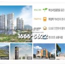 연지포레 이미지