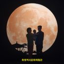 대구녹색사관학교 화원동산 체험학습 이미지