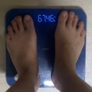 백양지 | 성신여대 다이어트 쥬비스 식단하면서 운동없이 체중감량한 후기
