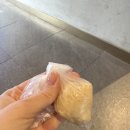 예블리콩 이미지