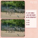 숨은커피찾기 이미지