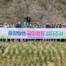 중앙탑면 행정복지센터 이미지