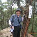 안성마을 정자앞 이미지