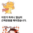 쌍용카마스타 이미지