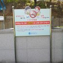 용인강남학교 이미지