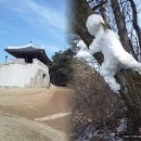 우암산등산로1 이미지