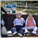 성민목장 이미지