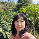 운남농장2 이미지