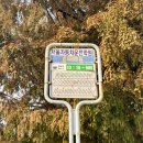 빙빙소리한의원 | 🚗 면허 도전기(3) 기능 시험 하루만에 준비하기/2종 보통/강서 서울자동차운전전문학원