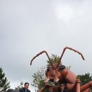 내촌초교 이미지