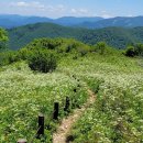 백석근린공원 이미지