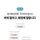 샐리잉글리시