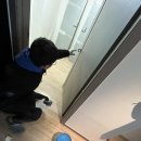 평촌라츠오피스텔 이미지