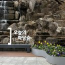 화담숲 벚꽃 봄여행 나들이 화담숲 모노레일 예약 솔직후기