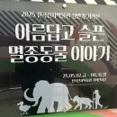 전곡-16 | 경기도 연천 전곡선사박물관 2025년 상반기 기획전 &lt;아름답고 슬픈 멸종동물이야기&gt; 후기