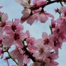 대지농장 이미지