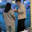 [서울 근교 가볼 만한 곳 비욘더팜]주말 방문 후기 + 꿀팁 포함 💚🏕️