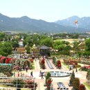 곡성-041 이미지