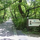 계룡산힐링민박