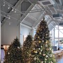 영주원 | 영주 풍기IC 베이커리 대형 카페 원애그 One egg 솔직후기