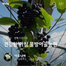 물방아골농원