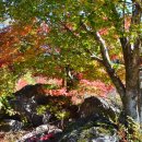 진상초등학교 이미지