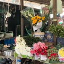 호텔퓰문(HOTEL FULL MOON) | 설날 = 미얀마 가는 날 ! - 인레(Day 3)