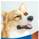 햇살가득한약국 이미지