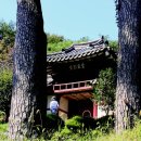 고운;유 이미지