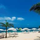 원파인짐 이미지