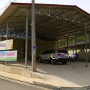 스트로마톨라이트 이미지