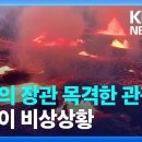 마우마우 이미지