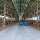 희망축산농장 이미지