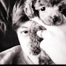 동호이지 이미지