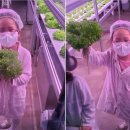 메트로팜 상도역 Farm8 팜아카데미 가격 및 주차정보