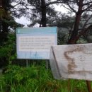 와룡길 이미지