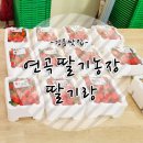 연곡농장 이미지