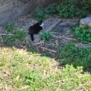 D00198 | 🇮🇹 이탈리아 로마