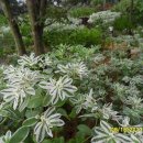 자유로농장 이미지