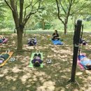 좌구산휴양림 명상의집 이미지