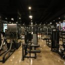 스타휘트니스 이미지