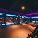 바디채널 첨단점 이미지