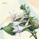 보태니컬 이미지