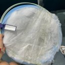 씨유공단점 | [몽골 여행 일기 : 고비사막 투어 1일차] 울란바토르 시내 구경하구 장보고 여행 준비 총총