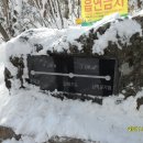 채기농장 이미지