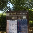 오조산공원 바닥분수 이미지