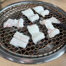 정촌 | 진주맛집 정촌장어 재방문 후기 🤍 진주장어 제대로 먹고 온 날